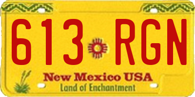 NM license plate 613RGN