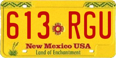 NM license plate 613RGU