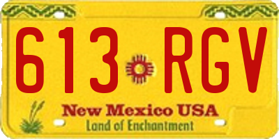 NM license plate 613RGV