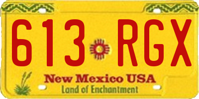 NM license plate 613RGX