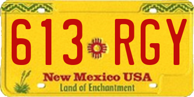 NM license plate 613RGY