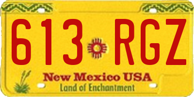 NM license plate 613RGZ