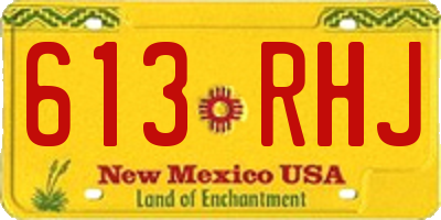NM license plate 613RHJ