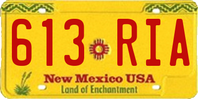 NM license plate 613RIA