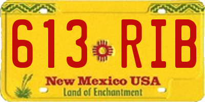 NM license plate 613RIB