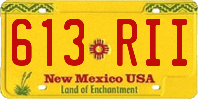 NM license plate 613RII