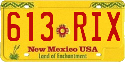 NM license plate 613RIX