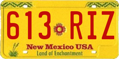 NM license plate 613RIZ