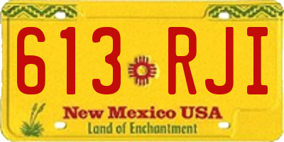 NM license plate 613RJI