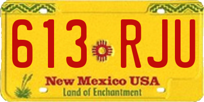 NM license plate 613RJU