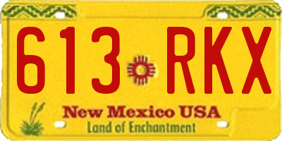 NM license plate 613RKX