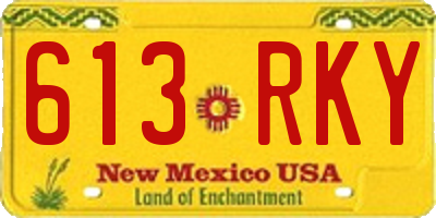 NM license plate 613RKY