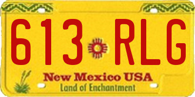 NM license plate 613RLG
