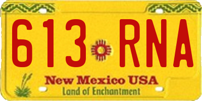 NM license plate 613RNA