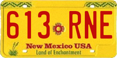 NM license plate 613RNE
