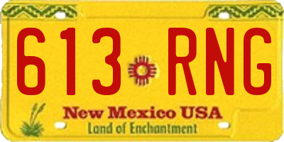 NM license plate 613RNG