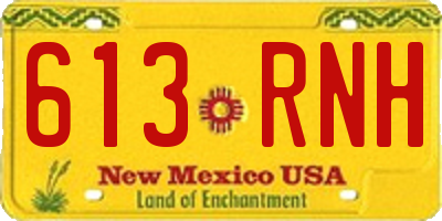 NM license plate 613RNH