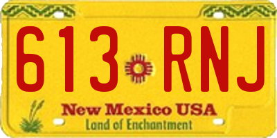 NM license plate 613RNJ