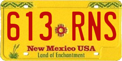 NM license plate 613RNS