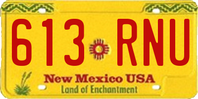 NM license plate 613RNU