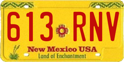 NM license plate 613RNV