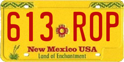 NM license plate 613ROP