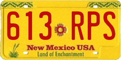 NM license plate 613RPS