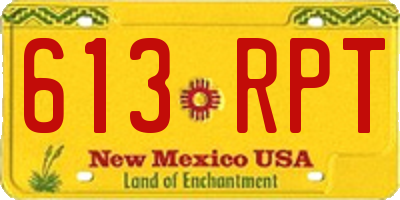 NM license plate 613RPT