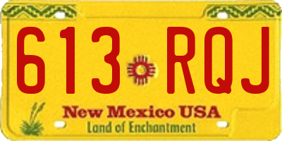 NM license plate 613RQJ