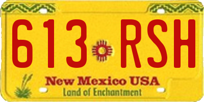NM license plate 613RSH