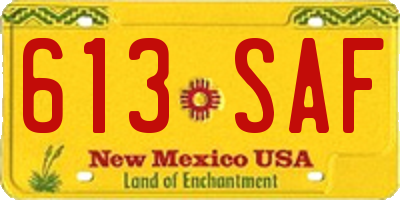 NM license plate 613SAF