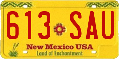 NM license plate 613SAU