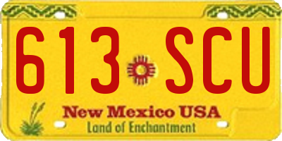 NM license plate 613SCU