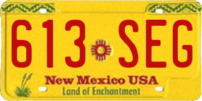 NM license plate 613SEG
