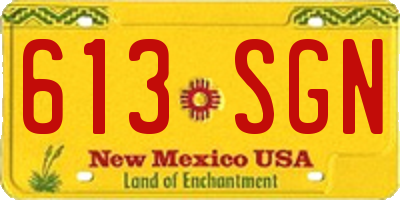 NM license plate 613SGN