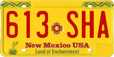 NM license plate 613SHA