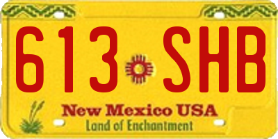 NM license plate 613SHB
