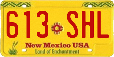 NM license plate 613SHL