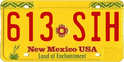 NM license plate 613SIH
