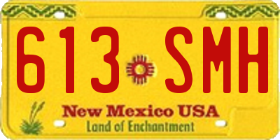 NM license plate 613SMH