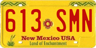 NM license plate 613SMN