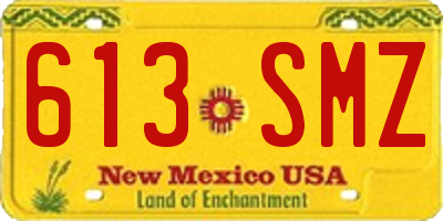NM license plate 613SMZ