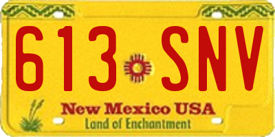 NM license plate 613SNV