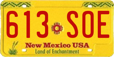 NM license plate 613SOE