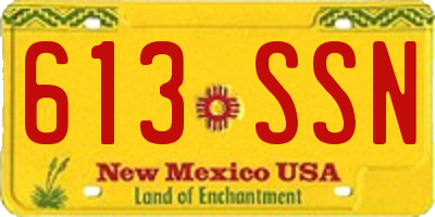 NM license plate 613SSN