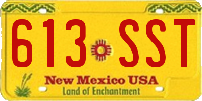 NM license plate 613SST