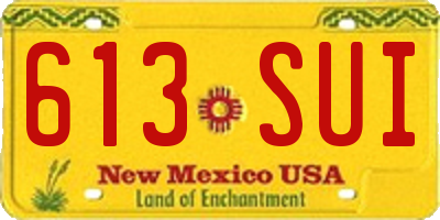 NM license plate 613SUI