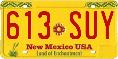 NM license plate 613SUY