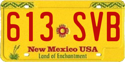 NM license plate 613SVB