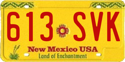 NM license plate 613SVK